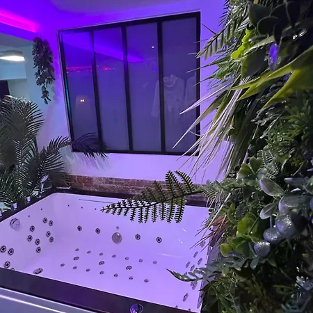 Jungle Avec Balneo A 10 Min De Disneyland Paris Serris